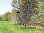 Tree Environmental art Antenna Technology Rural area