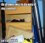 My_Confort.jpg